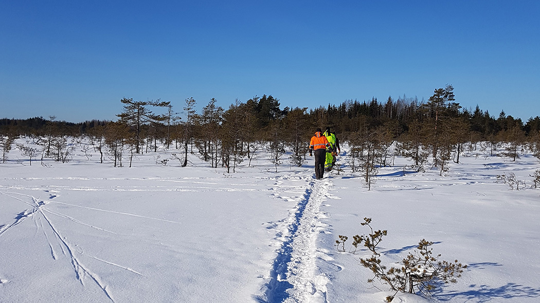On a sunny winter day, three visitors walk along a path in a snowy open terrain. In the background is forest.