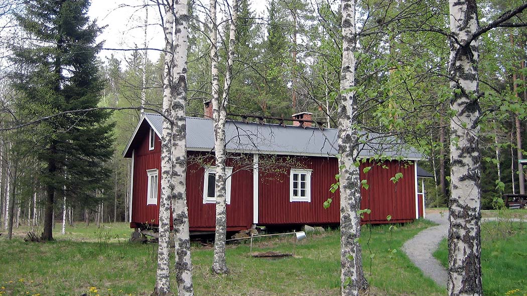 Hut in summer, with birch trees in the forefront.