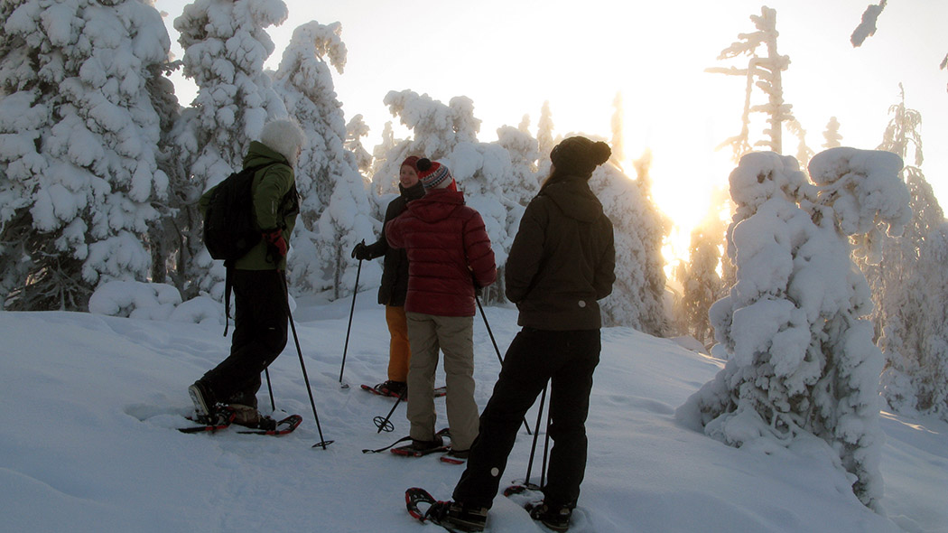 Snowshoers in a wintry forest as the sun is setting in the background.