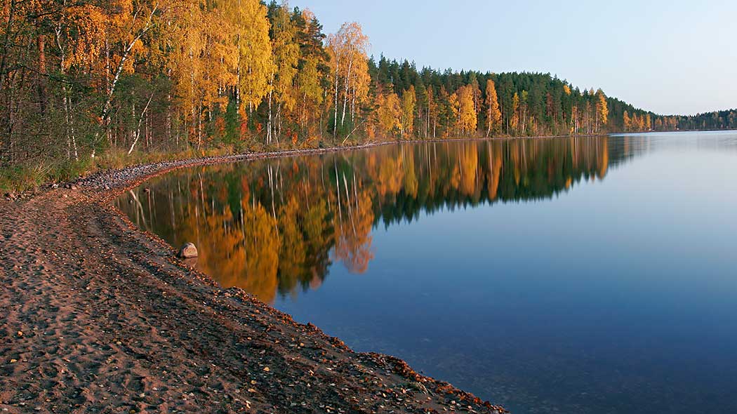 Trees in fall colours on the shore of the lake.
