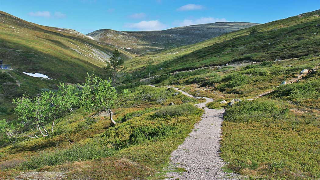 A path in a sunny fell landscape.