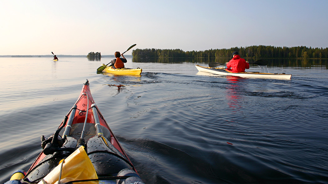 Four paddlers on a calm lake.