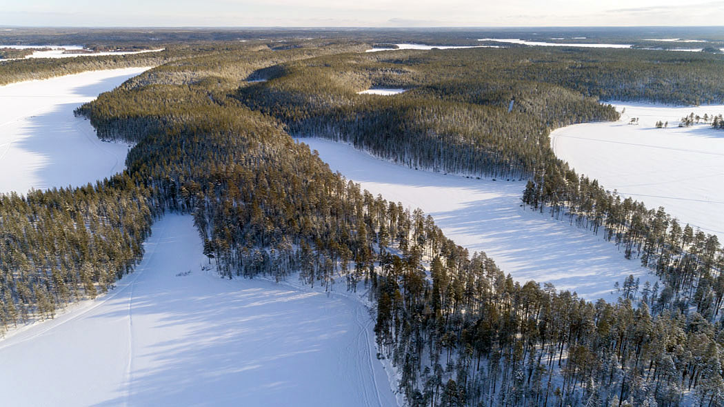 An aerial photograph of a mosaic of waterways and forests. Tracks can be seen on the snow-covered lakes.