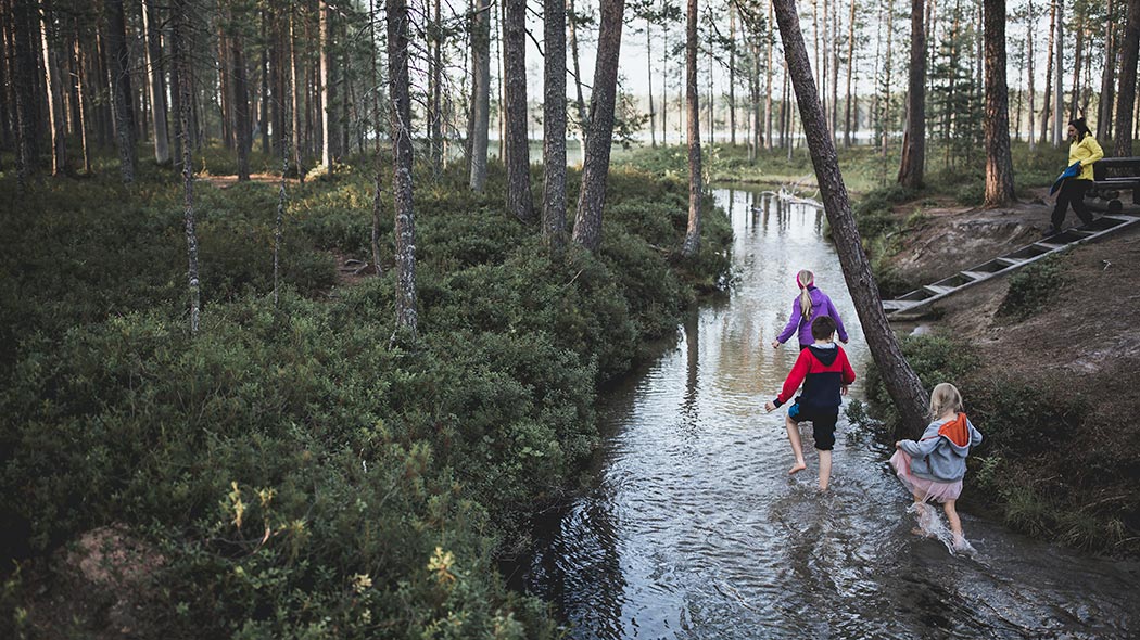 Three children walking in a creek. In the background a summer forest landscape in Hossa National Park.