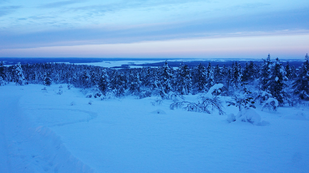 Behind the snowy forest, a frozen lake with islands and a beach can be seen in the distance. It's getting dark, it's a blue moment.