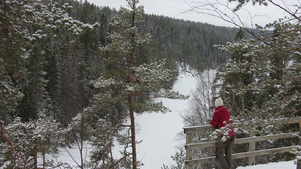 A person is watching the snowy gorge lake and coniferous forest on the viewing stage.