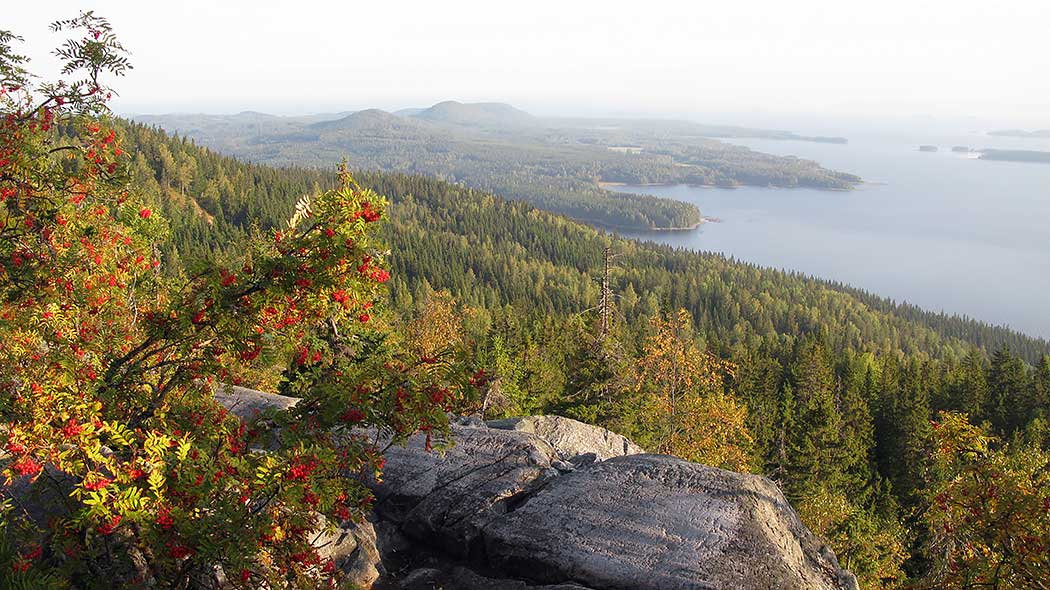 The magic of autumn. View from Ukko-Koli to Pielinen.