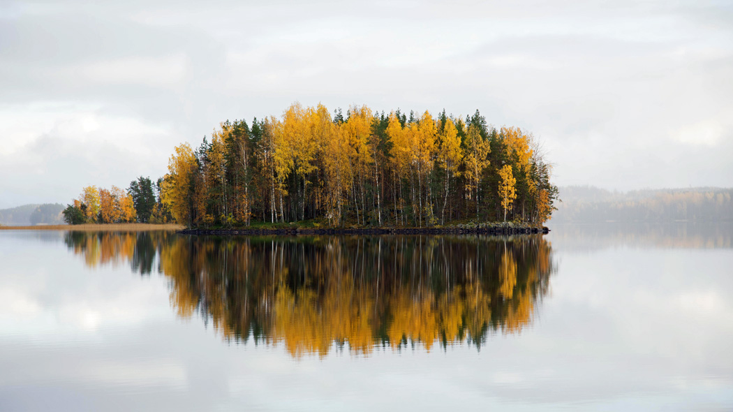 An island in autumn colours reflects from the calm lake.