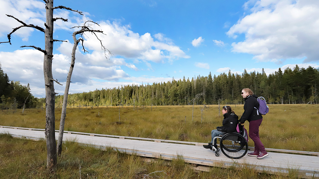 An assistant helps a hiker sitting in a wheelchair on duckboards in an open swamp area.