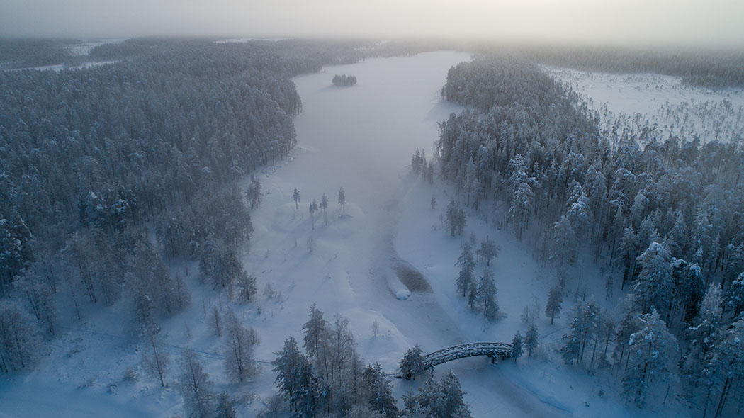 Aerial view of winter landscape.