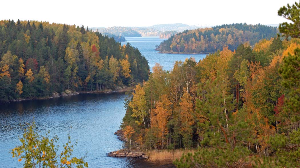 A forested archipelago landscape in autumn colours, a waterway is winding between the islands.
