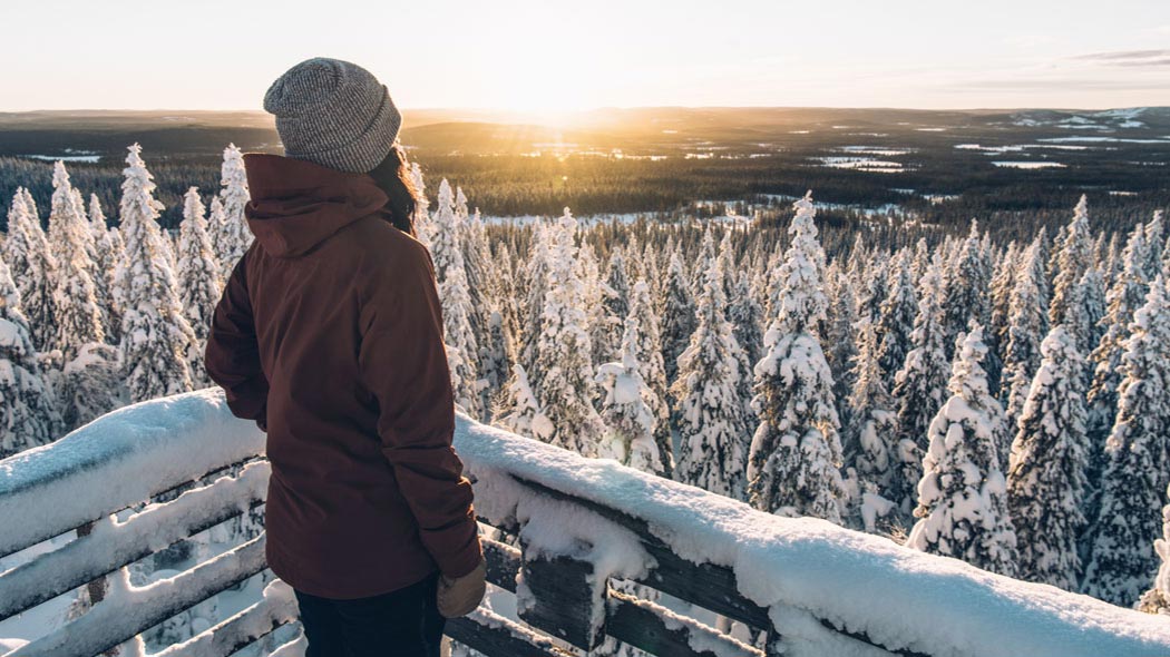 A woman in brown jacket watching the sunset over snow-covered spruce forest at the observation tower.