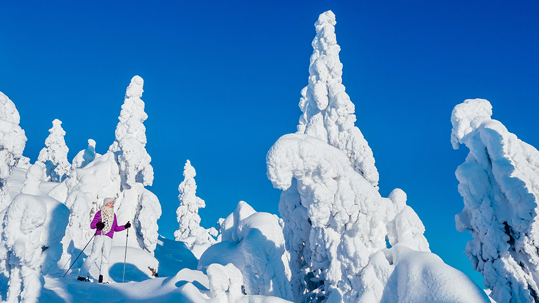 A woman is snowshoeing among fir trees covered in snow and admiring the landscape. In the background is a bright blue sky.