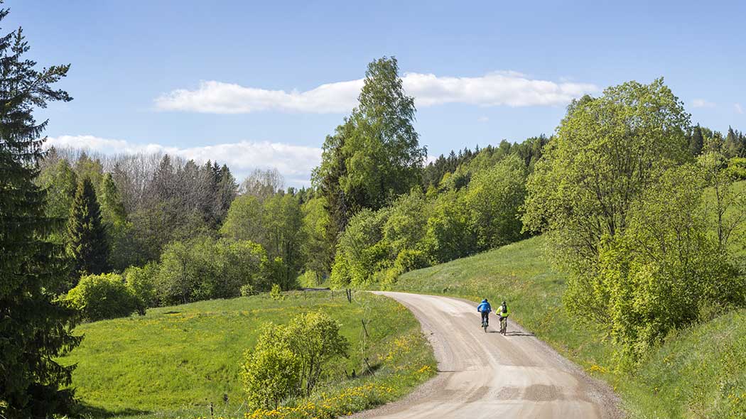 Two people are cycling on a sand road. On both sides there are open nature meadows, shrubs and deciduous trees.