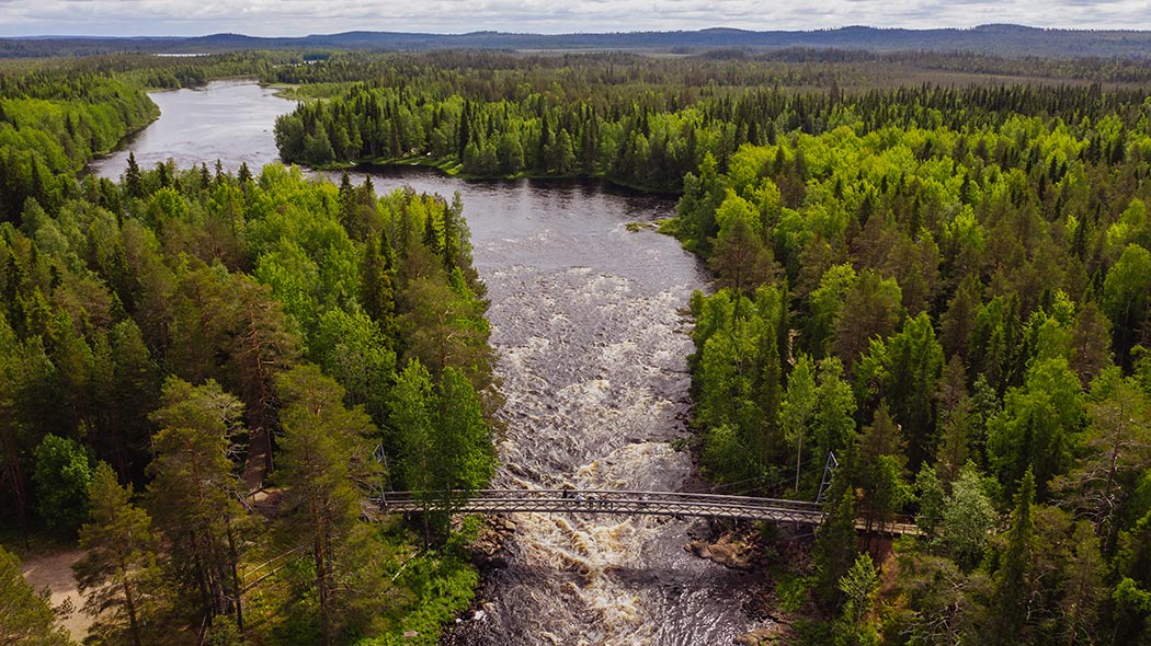 A summer landscape photographed from the air. The green forest surrounds the Vaattunkiköngäs rapids.