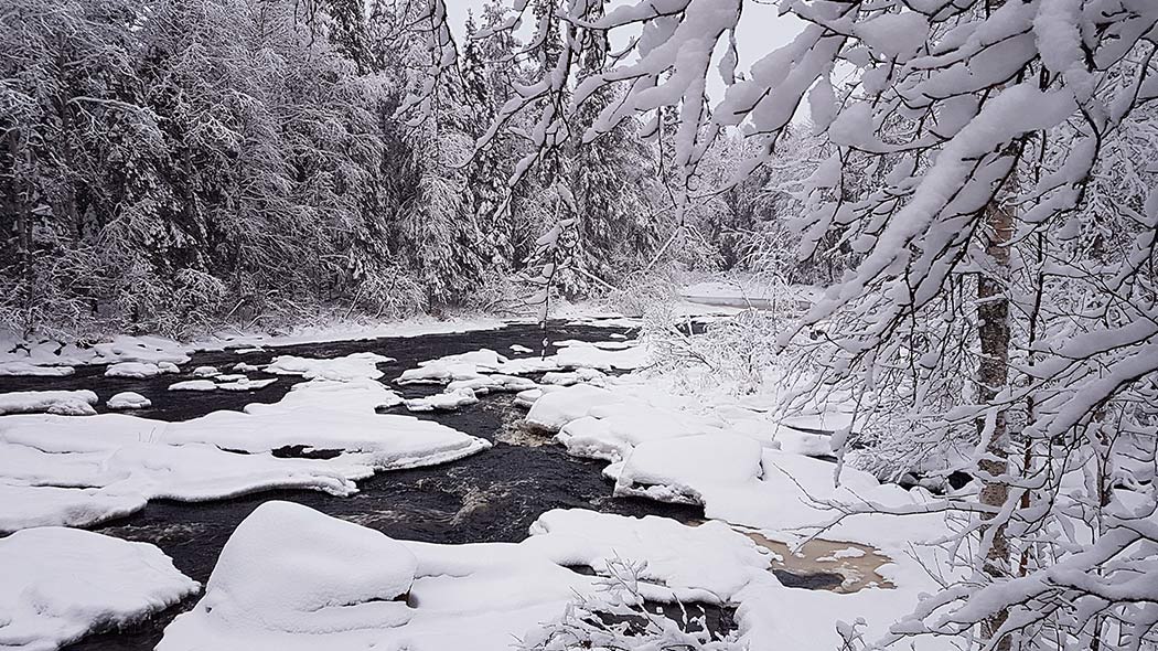 Winter river landscape. The river is partially melted and surrounded by a snowy forest.
