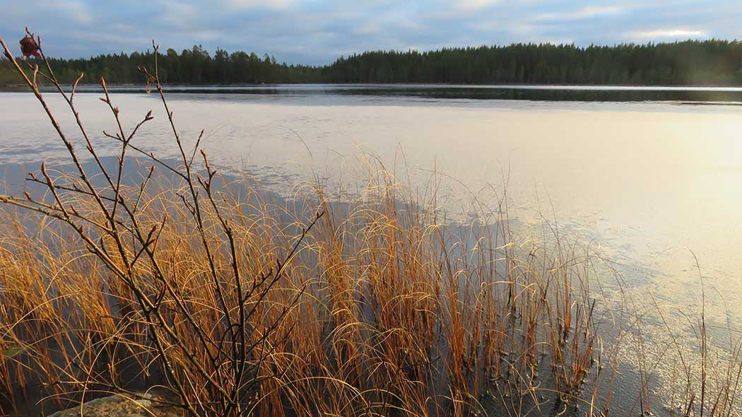 Lake landscape in the winter.