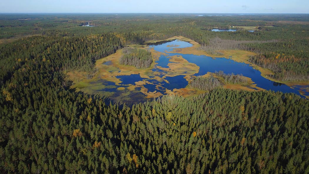 Aerial view with the lake and the surrounding coniferous forest.