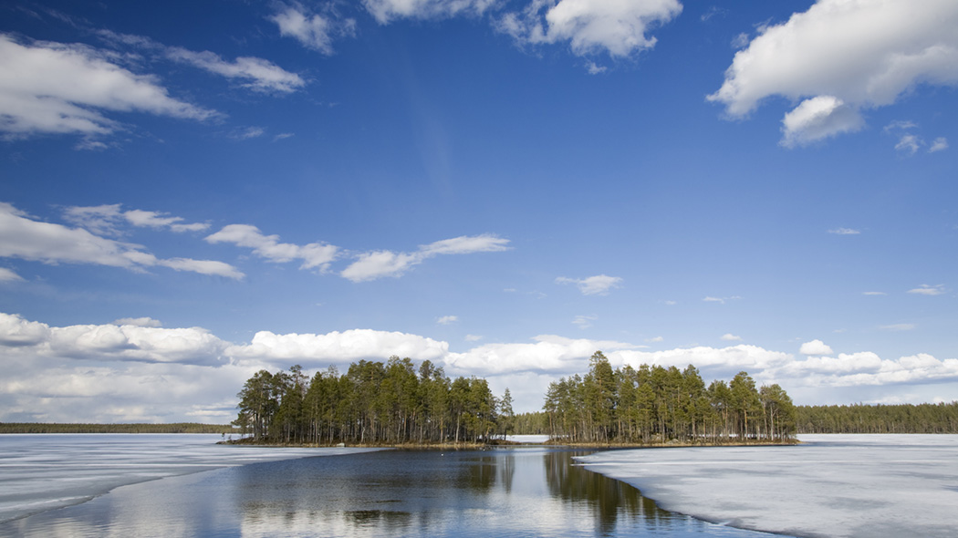 Lake landscape in winter.