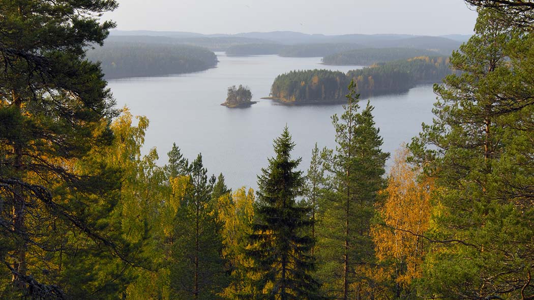 A view to Neitijärvi through a forest at autumn.