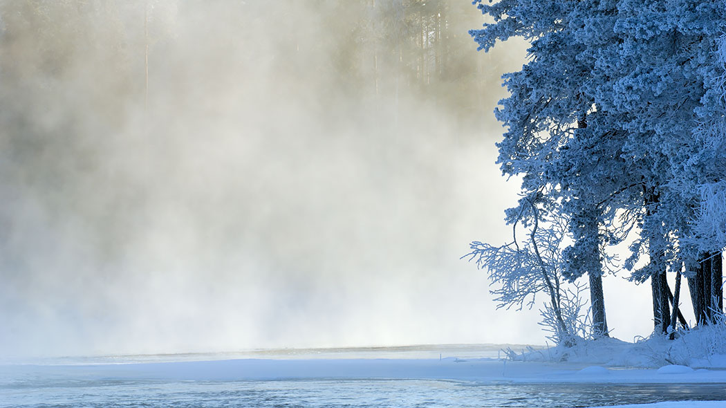 Mist rises from the rapids. The trees are covered with snow on the edge of the rapids.