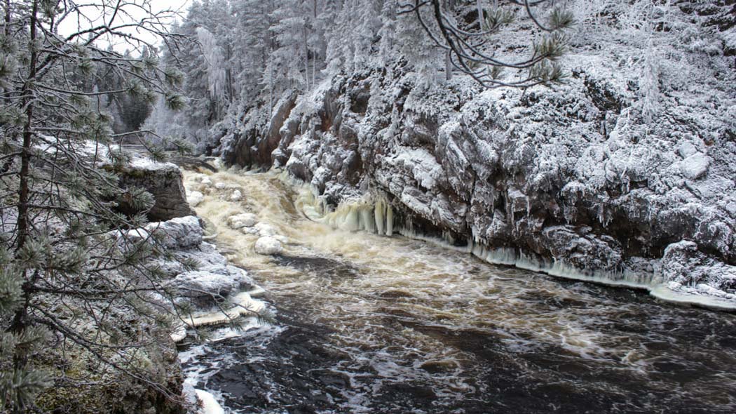 Landscape with a rapids waterfall between the rocks. Rocks and trees are covered with frost. There are icicles at the bottom of the cliff next to the water.