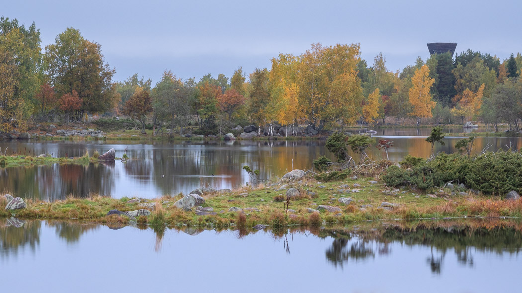 Deciduous trees in autumn colors, in the foreground a calm water area and a promontory with low vegetation. A dark observation tower in the background.