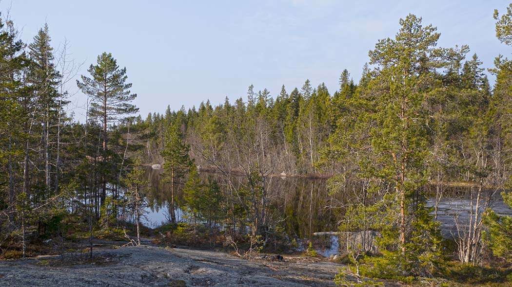 In the foreground are rock and small pines. In the background you can see a small lake and spruce forest.