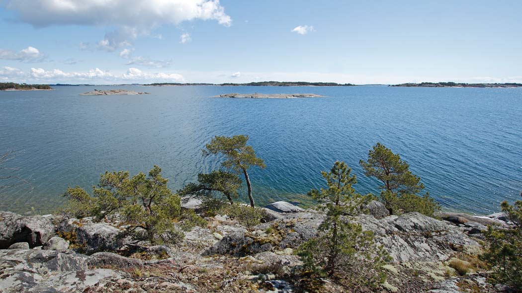 Sunny archipelago landscape. There are rock and pine trees in the foreground. Behind them is the sea and small rocky islets. In the background there are several islands and a sky with some clouds.