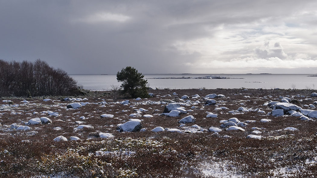 Spring-winter archipelago landscape in Jurmo. Gravel, with also some larger, sometimes bigger stones with some snow.  A small forest on the left side. The calm, ice-free sea in the background.