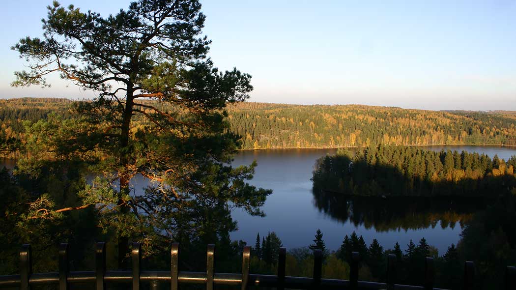 Autumn forest and lake landscape from the observation deck.