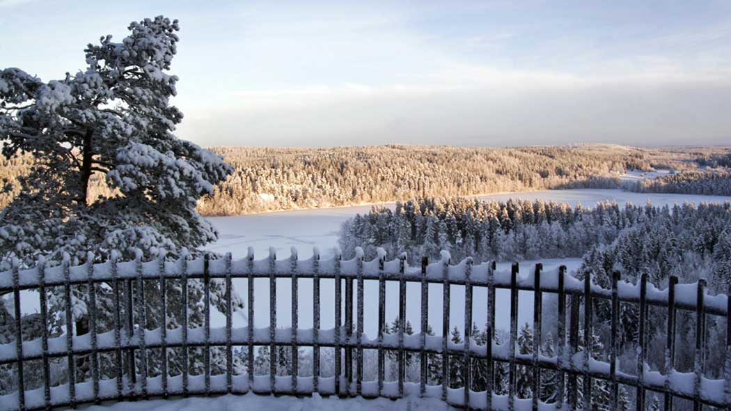 A view of the winter forest and lake landscape.