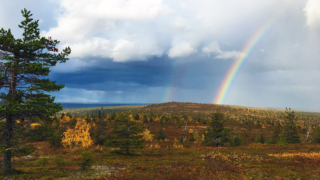 A rainbow can be seen in the sky in the autumn fell landscape.