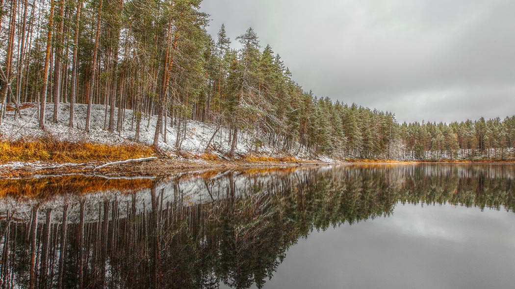A forest grows on a slope beside a lake. The forest has a dusting of snow. The surface of the lake is calm and reflects the trees.