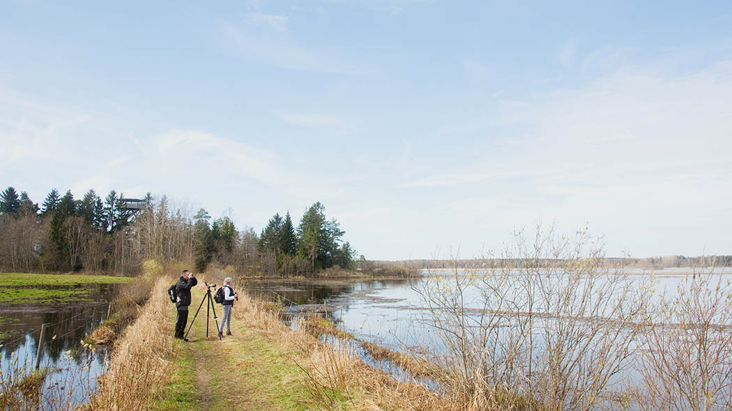 Two hikers looking to the lake with binoculars. They're standing on a narrow strip of land between the spring flood waters.