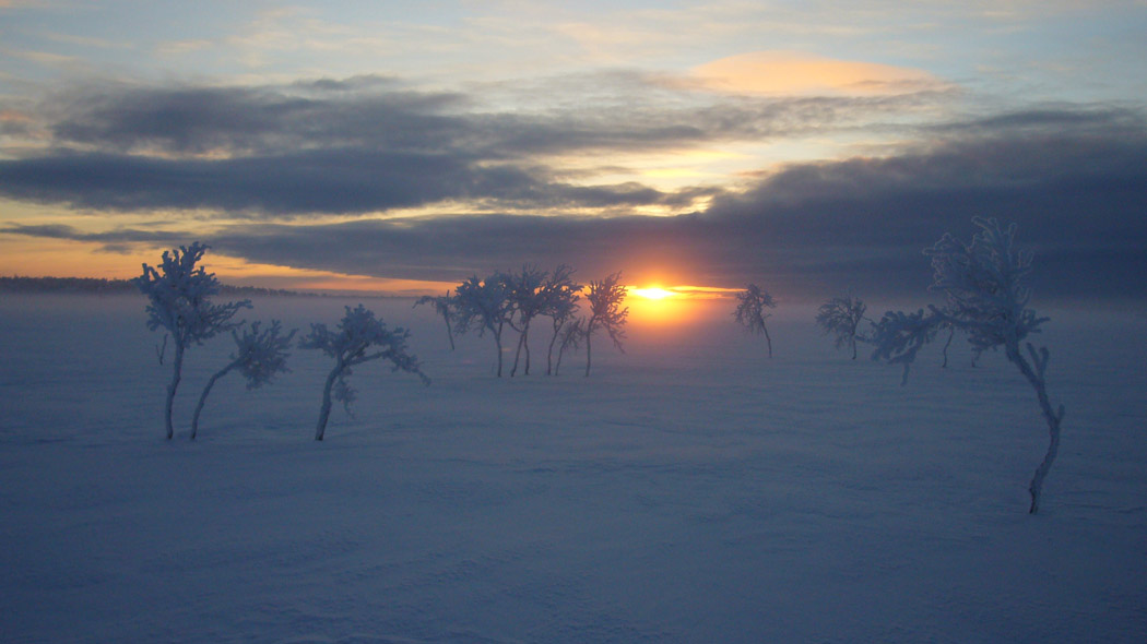 A few frosty dwarf birch trees in the foreground, glimpses of the low winter sun can be seen in a crack in the cloud cover. Both the clouds and the snow are blue-grey coloured.