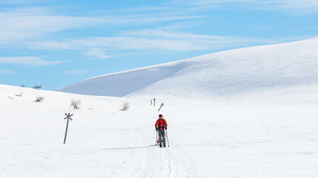 A skier on the trail in sunny winter day on an open fell.