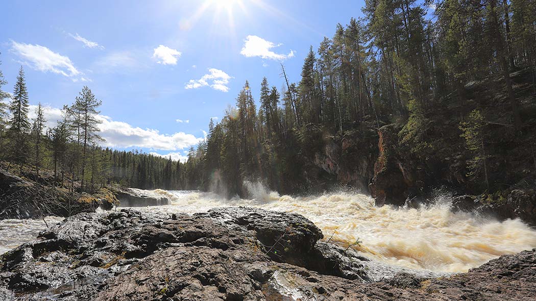 Flooding river and roaring rapids on the Spring.