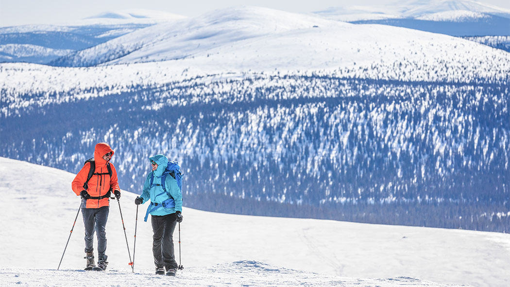 Two skiers are clambering upwards in an open fell. Skiers have a backpack on their back and a hood tightly on their head, because it is always windy in the fell. It's a sunny day. In the background you can see fells and forests as far as the eye can see.