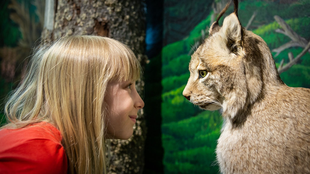 A child with a stuffed lynx.