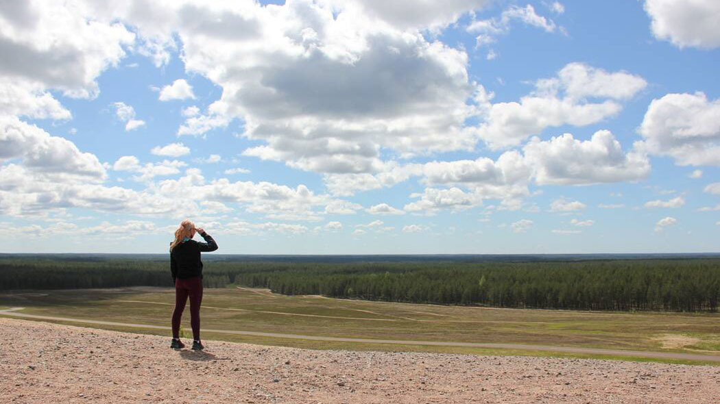 A person is standing on a sand ridge looking at the forest landscape.