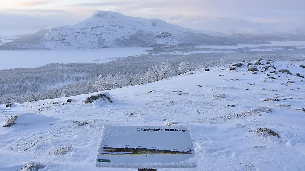 In the foreground is a nature trail board on a fell. In front, a winter landscape opens up from one fell to another. Down in the valley you can see a frosty birch forest and a frozen lake.