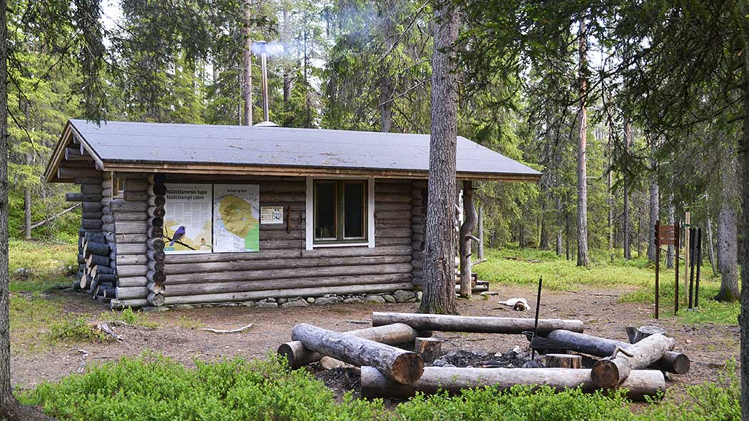 A hut in the forest. Smoke is rising from the chimney.