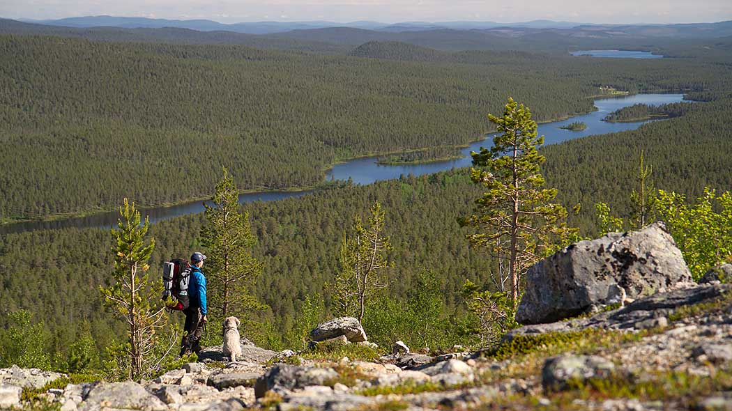 A hiker with a dog admiring the view of a forest and a river seen from a high cliff.