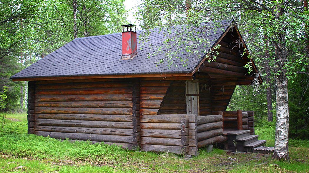 A wooden hut in the summer nature with a birch growing in front of the hut.