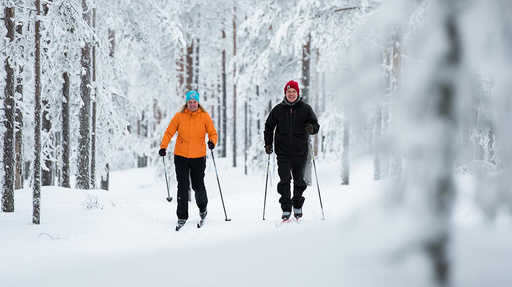 Two skiers on a trail in the forest.