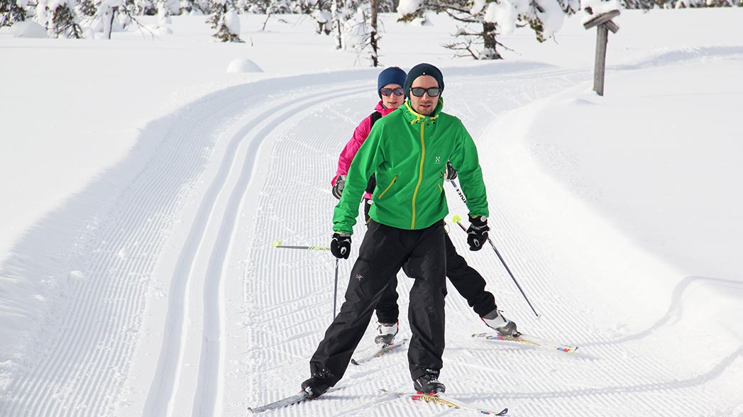 Two skiers on a trail.