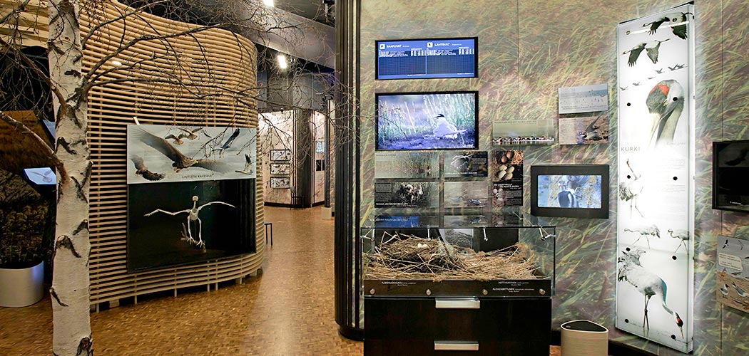 The nest-section of the exhibition. A glass showcase in the middle shows the Western marsh harriers nest. There are white eggs in the nest.