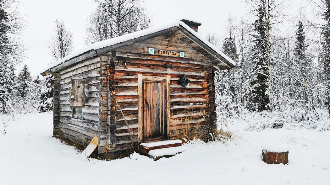 An old log cabin in early winter. Birch and spruce forest around the yard.