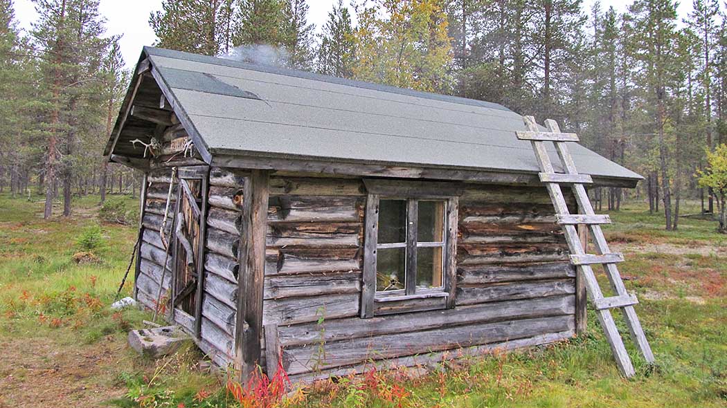 A small log hut in autumn in pine forest. The ladder rests on the edge of the roof.